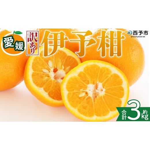 ふるさと納税 みかん・柑橘類 愛媛県 西予市 訳あり 愛媛県産 伊予柑 約3kg 『2027年1月上旬〜3月下旬迄順次発送予定』わけあり 訳アリ 果肉 いよかん ジュー…