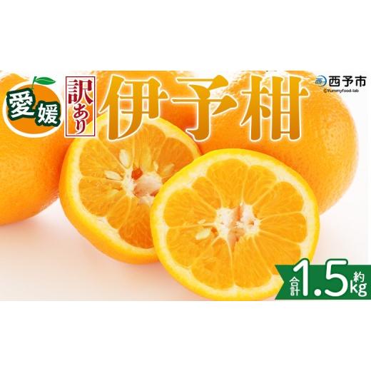 ふるさと納税 みかん・柑橘類 愛媛県 西予市 訳あり 愛媛県産 伊予柑 約1.5kg 『2027年1月上旬〜3月下旬迄順次発送予定』わけあり 訳アリ 果肉 いよかん ジュ…