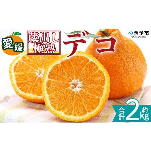 ふるさと納税 みかん・柑橘類 愛媛県 西予市 蔵出し極熟デコ 約2kg 『2027年4月上旬〜8月下旬迄に順次発送予定』 でこぽん デコポン 不知火 しらぬい 熟成 く…