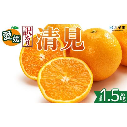 ふるさと納税 みかん・柑橘類 愛媛県 西予市 訳あり 愛媛県産 清見 約1.5kg 『2027年2月上旬〜4月下旬迄順次発送予定』 わけあり ジューシー 果肉 訳アリ き…