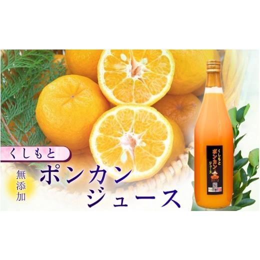 ふるさと納税 果汁飲料 みかん 和歌山県 串本町 無添加 くしもとポンカンジュース B 720ml ×2本セット まるごと絞った果汁100%ジュース / ドリンク 柑橘 ぽ…