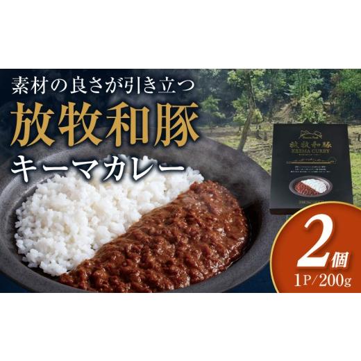 ふるさと納税 惣菜・レトルト 宮崎県 宮崎市 放牧和豚キーマカレー 2個セット_M387-008-01 11,000円 200g×2個