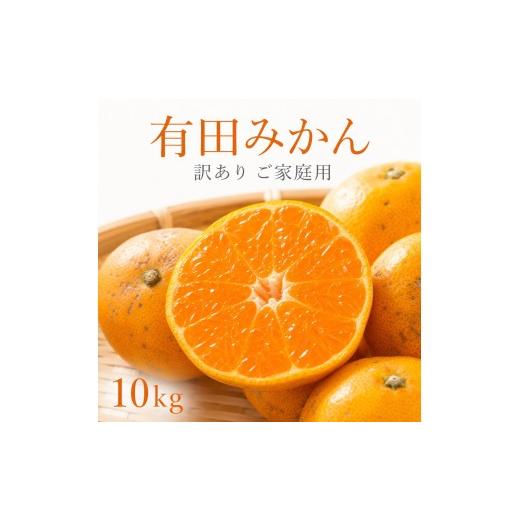 ふるさと納税 果物類 みかん 和歌山県 美浜町 先行予約 訳あり・ご家庭用 有田みかん 約10kg(2S〜2Lサイズ混合)和歌山県産