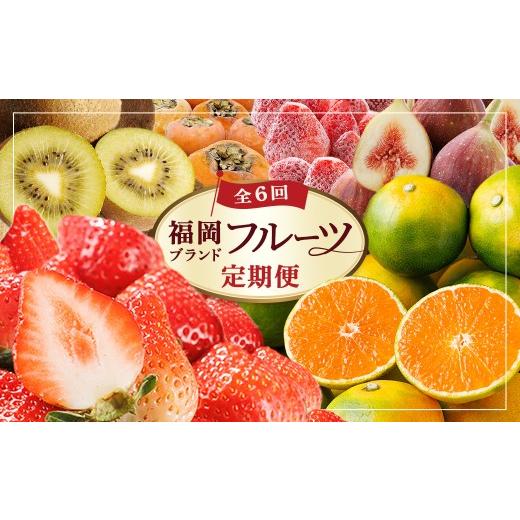 ふるさと納税 果物の詰合せ 福岡県 春日市 全6回・定期便 福岡ブランド 旬果と冷凍 フルーツ定期便 (総計約13.4kg) あまおう とよみつひめ 秋王 早味かん 甘…