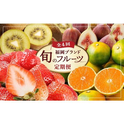 ふるさと納税 果物の詰合せ 福岡県 春日市 全4回・定期便 福岡ブランド 季節のご褒美 フルーツ定期便 (総計約8.8kg) あまおう とよみつひめ 早味かん 甘うぃ …