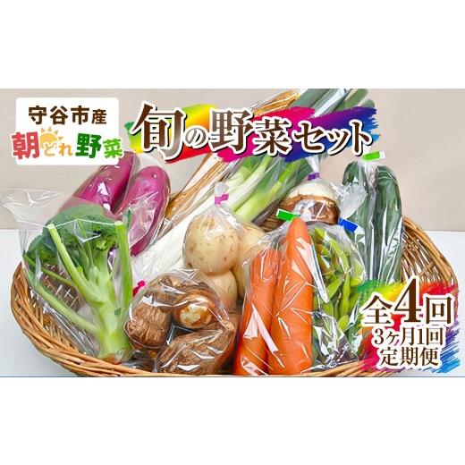 ふるさと納税 セット・詰合せ 茨城県 守谷市 定期便 4回 3ヶ月に1回お届け 守谷市産 旬の野菜セット | 野菜 やさい 野菜セット 旬 国産 茨城県産 セット 詰め…