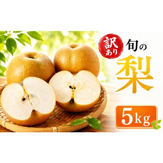ふるさと納税 果物の詰合せ 茨城県 筑西市 訳あり 梨 5kg | なし ナシ 5キロ 豊水 幸水 にっこり 旬の梨 和梨 果実 みずみずしい 酸味 甘み 果肉 果汁 たっぷ…