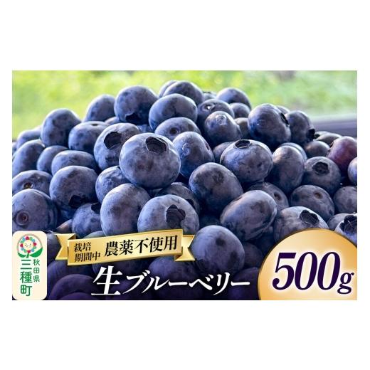 ふるさと納税 果物類 秋田県 三種町 ブルーベリー 500g 秋田県山本郡三種町産 鮮度抜群 生 ブルーベリー スイーツ ビタミン 食物繊維 ヨーグルト サラダ フル…