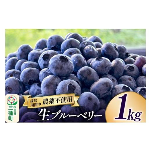 ふるさと納税 果物類 秋田県 三種町 ブルーベリー 1kg 秋田県山本郡三種町産 鮮度抜群 生 ブルーベリー スイーツ ビタミン 食物繊維 ヨーグルト サラダ フルー…