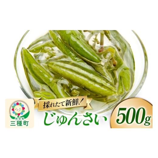 ふるさと納税 山菜・きのこ 秋田県 三種町 じゅんさい 500g 秋田県山本郡三種町産 じゅんさい 秋田県産 国産 自然食品 500g 10,000円