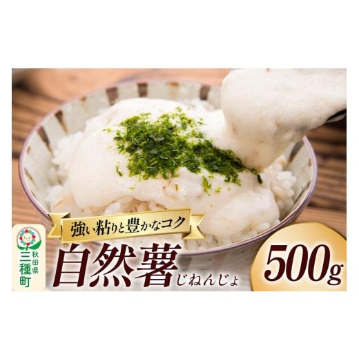 ふるさと納税 人参・大根・他根菜 秋田県 三種町 自然薯 500g 秋田県山本郡三種町産 山芋 山芋 自然薯 とろろ 国産 500g 14,000円