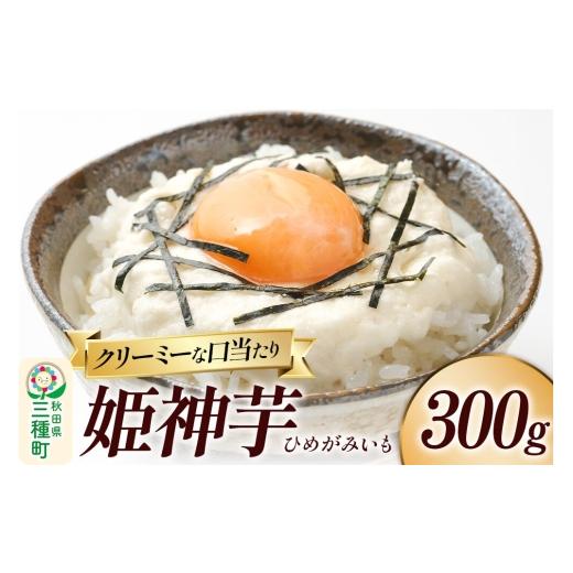 ふるさと納税 人参・大根・他根菜 秋田県 三種町 姫神芋 300g 秋田県山本郡三種町産 長芋 長芋 粘り とろろ 国産 濃厚 300g 6,000円