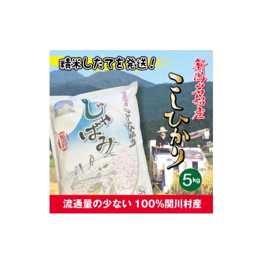 ふるさと納税 米 コシヒカリ 新潟県 関川村 先行予約 R8年産 関川村産コシヒカリ精米5kg(5kg×1)丁寧に育てた贅沢米 山口ファーム 1753533