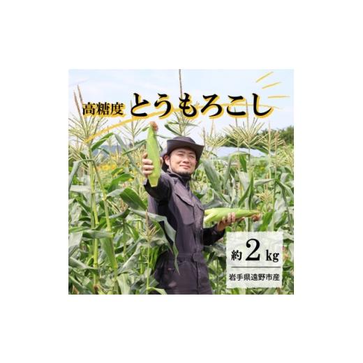 ふるさと納税 とうもろこし 岩手県 遠野市 先行予約 菊池一真の とうもろこし ゴールドラッシュ 約2kg 2026年7月下旬〜発送 1579762