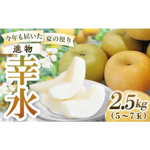 ふるさと納税 梨 鳥取県 倉吉市 幸水 進物 2.5kg(岸田秀果園) 鳥取 梨 なし ナシ 果物 フルーツ 和梨 幸水梨 こうすいなし 人気 産地直送