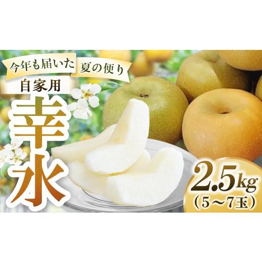 ふるさと納税 梨 鳥取県 倉吉市 幸水 自家用 2.5kg(岸田秀果園) 鳥取 梨 なし ナシ 果物 フルーツ 和梨 幸水梨 こうすいなし 人気 産地直送