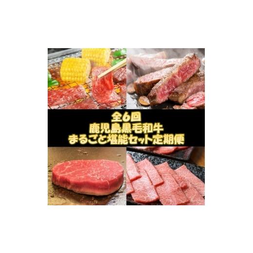 ふるさと納税 牛肉 ステーキ 鹿児島県 南九州市 発送月固定定期便 鹿児島黒毛和牛まるごと堪能セット定期便全6回 4088702