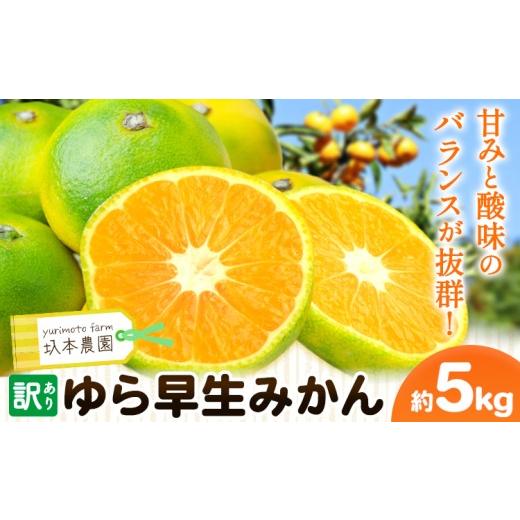 ふるさと納税 果物類 みかん 和歌山県 日高川町 訳あり ゆら早生みかん 5kg 圦本農園 [10月上旬-11月上旬頃出荷]和歌山県 日高川町 送料無料 訳ありみかん 5…