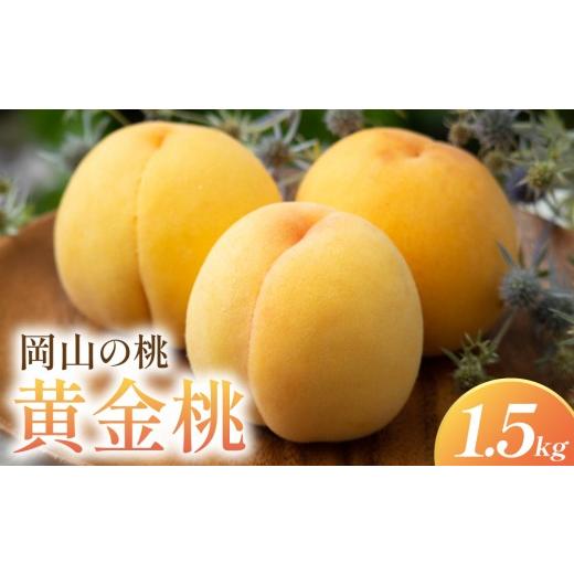 ふるさと納税 もも 岡山県 鏡野町 岡山県産・マンゴーの様な黄色い桃・黄金桃 1.5kg箱 約1.5kg箱
