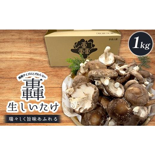ふるさと納税 野菜類 きのこ 群馬県 富岡市 規格サイズにこだわらない轟生しいたけ 1kg きのこ キノコ 野菜 食品 F21E-530