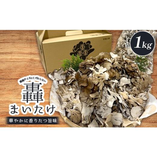 ふるさと納税 野菜類 きのこ 群馬県 富岡市 規格サイズにこだわらない轟まいたけ ほぐし 1kg きのこ キノコ 野菜 食品 F21E-531