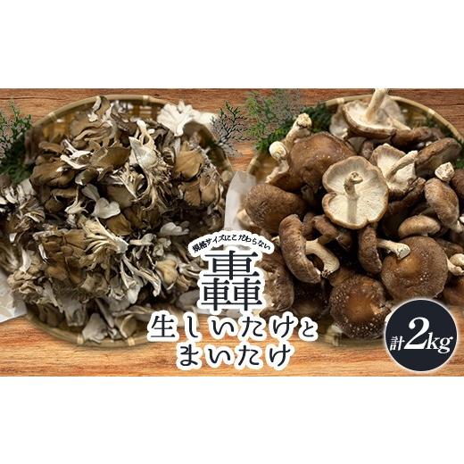 ふるさと納税 野菜類 きのこ 群馬県 富岡市 規格サイズにこだわらない轟生しいたけ 1kg と轟まいたけ ほぐし 1kg きのこ キノコ 野菜 食品 F21E-532