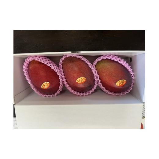 ふるさと納税 マンゴー 沖縄県 南城市 アップルマンゴー(1kg)優 2〜4玉?I マンゴー アーウィン 嘉数マンゴー 1kg 化粧箱 贈答 フルーツ 果物 沖縄県 南城市…