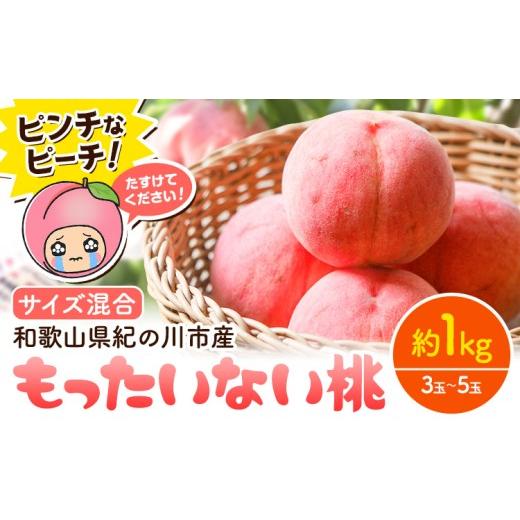 ふるさと納税 もも 和歌山県 紀の川市 桃 ピンチなピーチ もったいない桃 約1kg 3玉 〜 5玉 訳あり 訳アリ [6月中旬-8月上旬頃出荷] サイズ混合 和歌山県 紀…