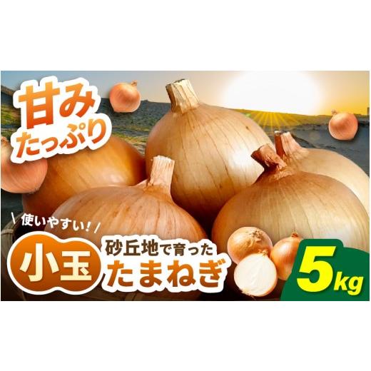 ふるさと納税 野菜類 玉ねぎ 福井県 坂井市 福井県砂丘地育ち 甘みたっぷり 小玉玉ねぎ 5kg たまねぎ 玉ねぎ タマネギ 小玉 玉葱 オニオン スライス サラダ 野…