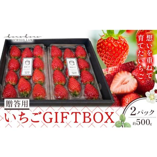 ふるさと納税 いちご 徳島県 上板町 いちご 苺 贈答 ギフト ボックス 2パック 約500g ICHIGO LAB.hanahana [1月上旬-4月下旬頃発送予定] イチゴ 徳島県 上板…
