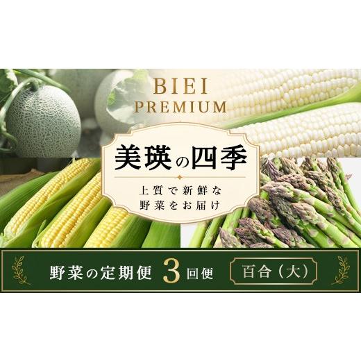 ふるさと納税 野菜類 アスパラガス 北海道 美瑛町 令和9年産 先行予約 野菜 定期便 3回便 美瑛の四季〜百合(大)〜 アスパラ メロン とうもろこし | 野菜 果…
