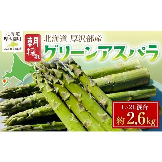 ふるさと納税 野菜類 アスパラガス 北海道 厚沢部町 北海道厚沢部町産 グリーンアスパラ L〜2L混合 約2.6kg ふるさと納税 人気 おすすめ ランキング アスパラ…