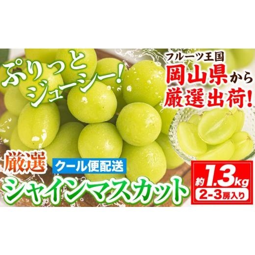 ふるさと納税 ぶどう マスカット 岡山県 笠岡市 シャインマスカット (約1.3kg 2-3房) [2026年9月上旬-11月中旬頃出荷]ぶどう ブドウ 葡萄 マスカット 果物 …