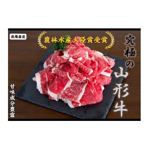 ふるさと納税 牛肉 セット 山形県 天童市 08-27-031 多用途食材 切り落とし600g〜天童牛〜