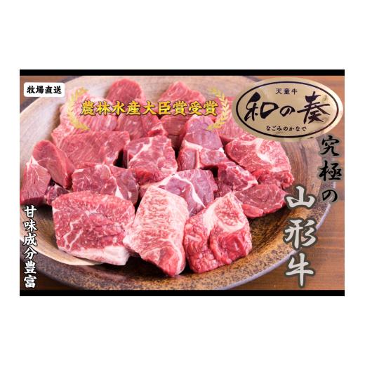 ふるさと納税 牛肉 カレー・シチュー 山形県 天童市 08-27-033 天童牛ごろっと煮込み用600g