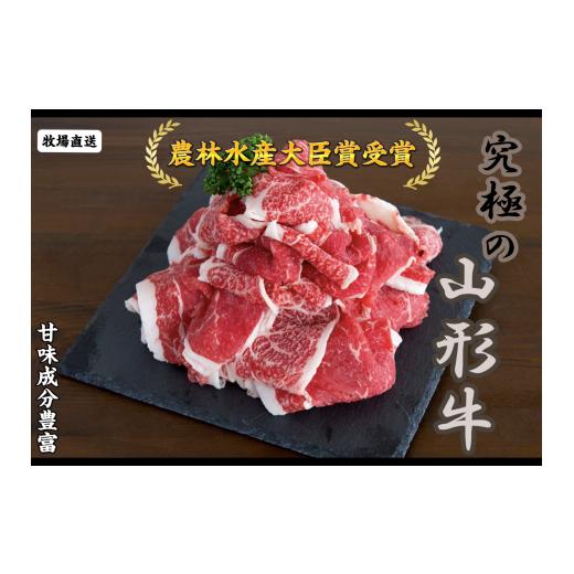 ふるさと納税 牛肉 セット 山形県 天童市 08-27-036 多用途食材 切り落としたっぷり1kg〜鶴亀牛〜