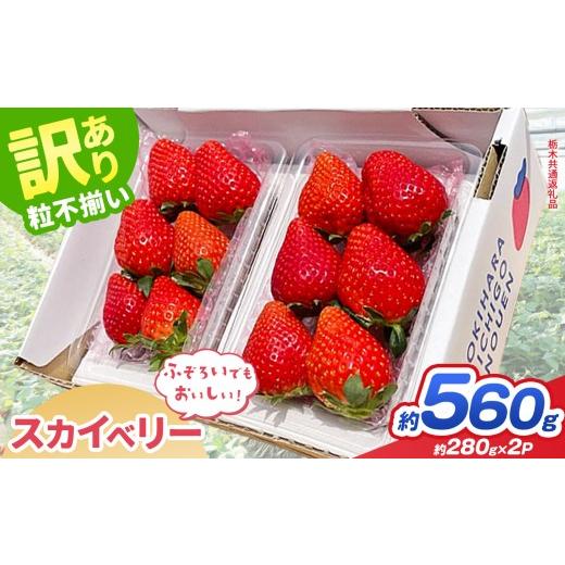 ふるさと納税 いちご 栃木県 那珂川町 先行予約 栃木県共通返礼品 訳あり スカイベリー 約 280g × 2P|いちご イチゴ 苺 訳あり 不揃い 粒 栃木県 那珂川町 …