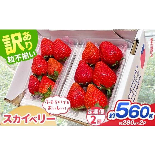 ふるさと納税 いちご 栃木県 那珂川町 先行予約 定期2回 訳あり スカイベリー 約 280g × 2P| 栃木県共通返礼品 いちご イチゴ 苺 訳あり 不揃い 粒 栃木県 …
