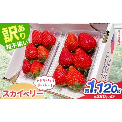 ふるさと納税 いちご 栃木県 那珂川町 先行予約 訳あり スカイベリー 約 280g × 4P| 栃木県共通返礼品 いちご イチゴ 苺 訳あり 不揃い 粒 栃木県 那珂川町…