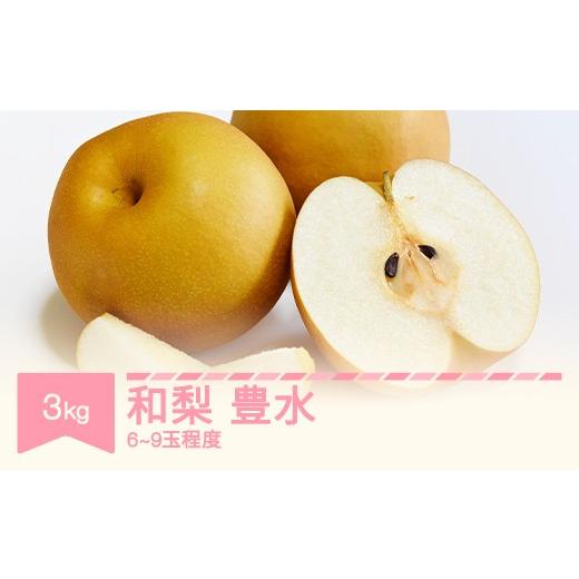 ふるさと納税 梨 山形県 村山市 令和8年産 和梨 豊水 約3kg (6~9玉程度) yi-nahsx3000 豊水 約3kg (6~9玉程度)