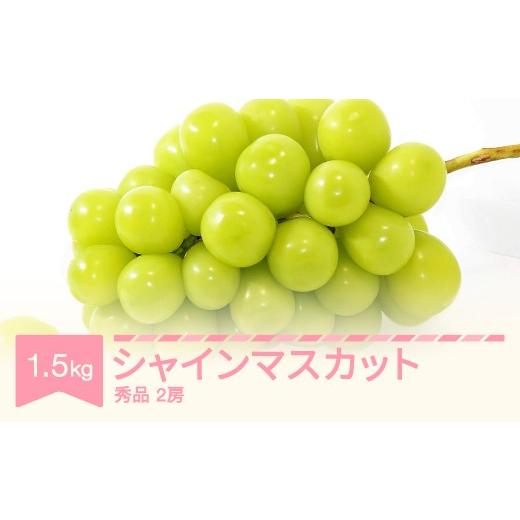 ふるさと納税 ぶどう マスカット 山形県 村山市 令和8年産 ぶどう シャインマスカット 秀品 約1.5kg (2房) yi-busmx1500 秀品 約1.5kg (2房)