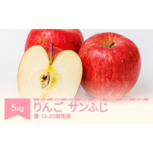 ふるさと納税 りんご 山形県 村山市 令和8年産 りんご サンふじ 優品 約5kg (12~23個程度) yi-risfy5000 優品 約5kg (12~23個程度)