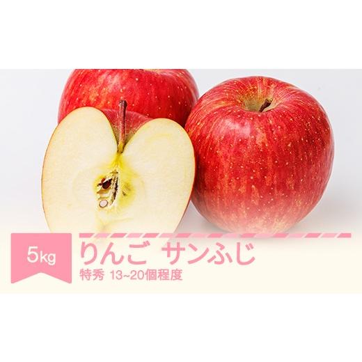ふるさと納税 りんご 山形県 村山市 令和8年産 りんご サンふじ 特秀品 約5kg (13~20個程度) yi-risft5000 特秀品 約5kg (13~20個程度)