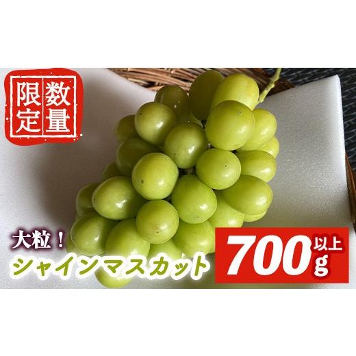 ふるさと納税 ぶどう マスカット 茨城県 常陸大宮市 先行予約受付中 2026年9月中旬以降順次発送 シャインマスカット1房 700g以上 マスカット ぶどう ブドウ …