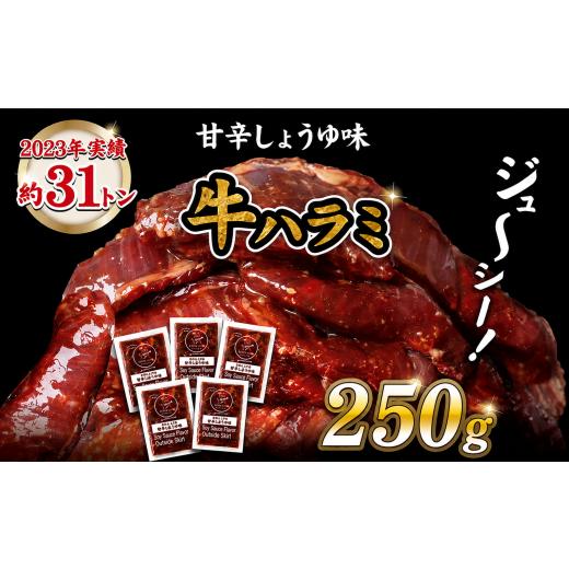 ふるさと納税 牛肉 長崎県 佐世保市 厚切り 牛ハラミ 250g ( 250g × 1 ) 大容量 冷凍 小分け 工場直送 特製 味付き 醤油 牛肉 牛 肉 ハラミ 焼肉 バーベキュ…