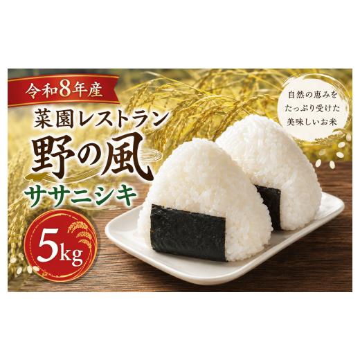 ふるさと納税 米 ササニシキ 宮城県 美里町 令和8年産 菜園レストラン「野の風」ササニシキ5kg