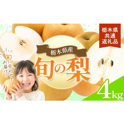 ふるさと納税 梨 栃木県 野木町 先行予約 旬の梨 約4kg 幸水 豊水 あきづき 新高 にっこり[8月上旬-10月中旬頃出荷予定] 栃木県 野木町 なし ナシ くだもの …