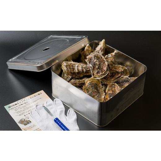 ふるさと納税 牡蠣 宮城県 大和町 殻付き牡蠣 カンカン焼きセット 冷凍 2kg 加熱用 宮城県産 牡蛎 牡蠣 カキ かき オイスター カキフライ 牡蠣鍋 海鮮 国産 魚…