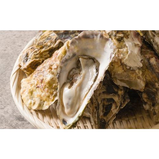ふるさと納税 牡蠣 宮城県 大和町 殻付き牡蠣(生食用)冷凍 2kg 生牡蠣 宮城県産 牡蛎 牡蠣 カキ かき 生食 オイスター カキフライ 牡蠣鍋 海鮮 国産 魚貝類 …