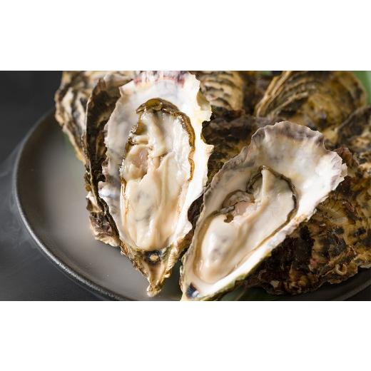 ふるさと納税 牡蠣 宮城県 大和町 殻付き牡蠣(生食用)冷蔵 2kg 生牡蠣 宮城県産 牡蛎 牡蠣 カキ かき 生食 オイスター カキフライ 牡蠣鍋 海鮮 国産 魚貝類 …